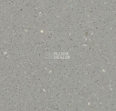 Линолеум Forbo SafeStep R11 174752 slate grey фото 1 | FLOORDEALER